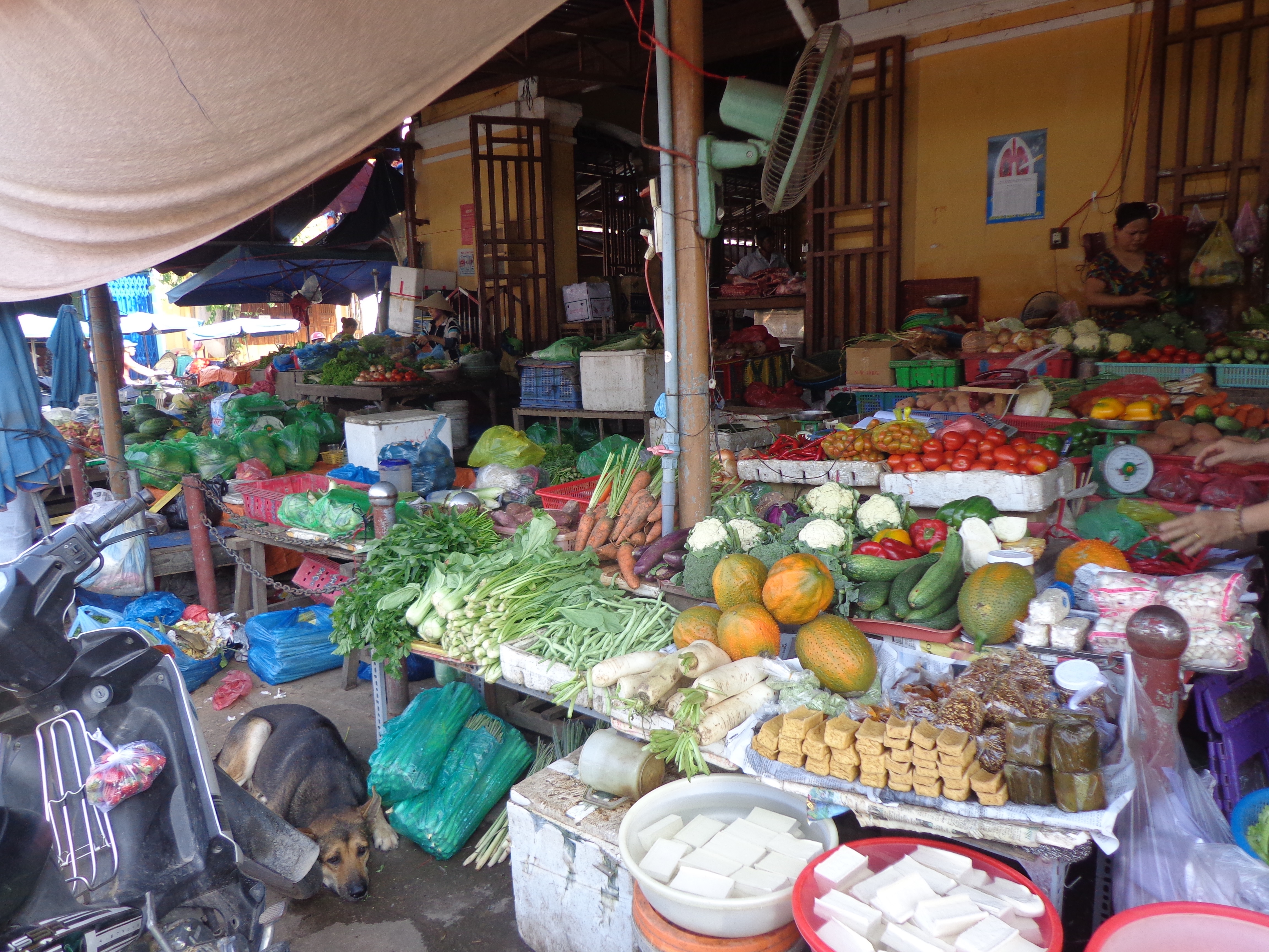 Fruits and vegetable shops are lined up outside the market building, spilling into the pavement.