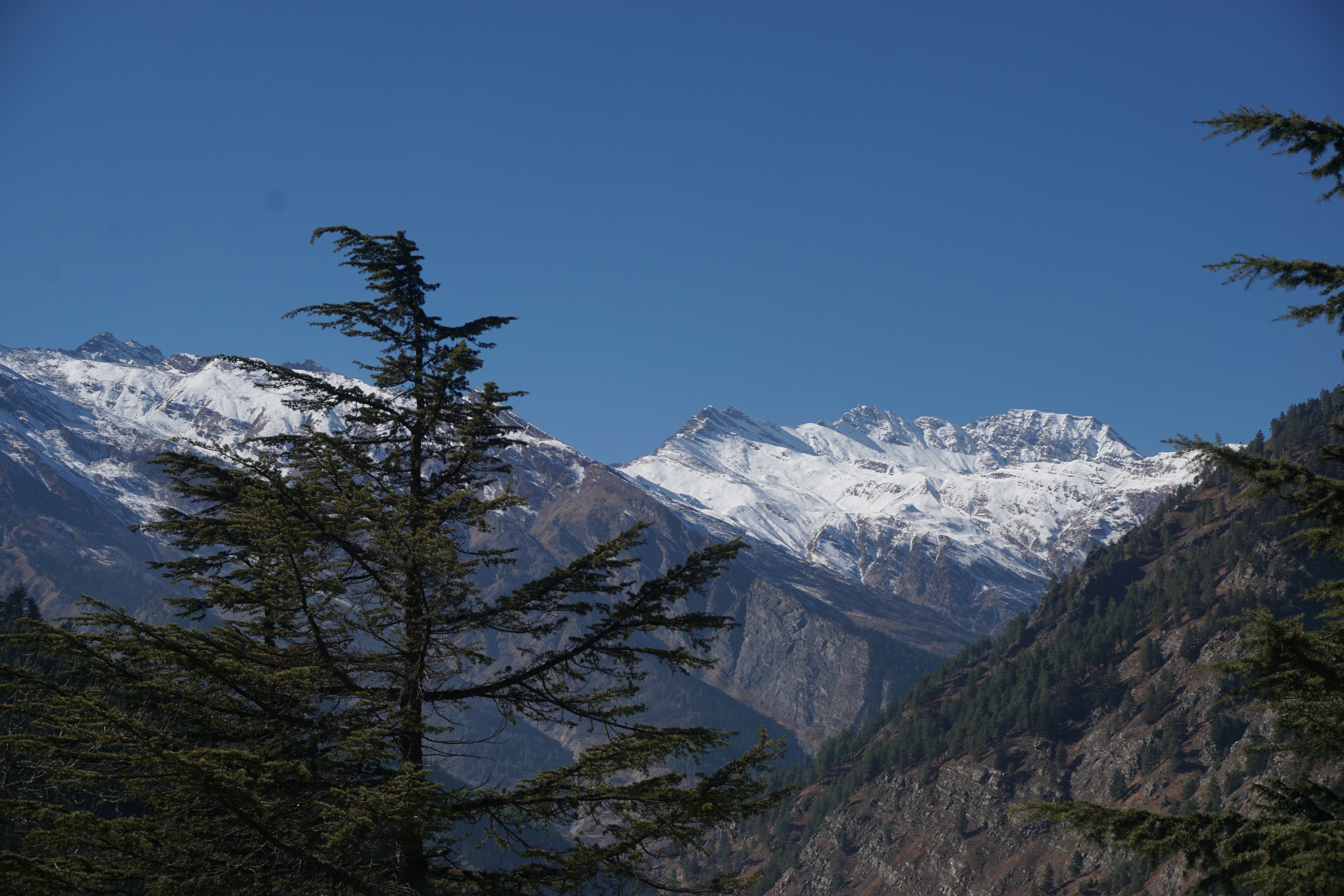 View of the snow capped hills from Harsil.