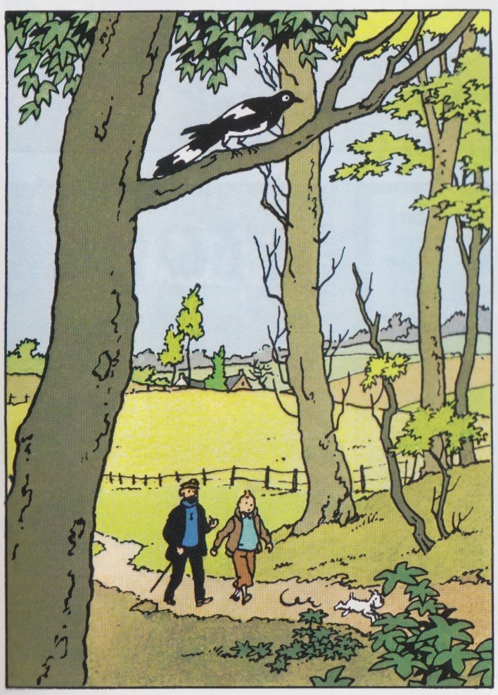 Page 01, Panel 01: Notice the Magpie? That&rsquo;s our culprit. Not that it matters.