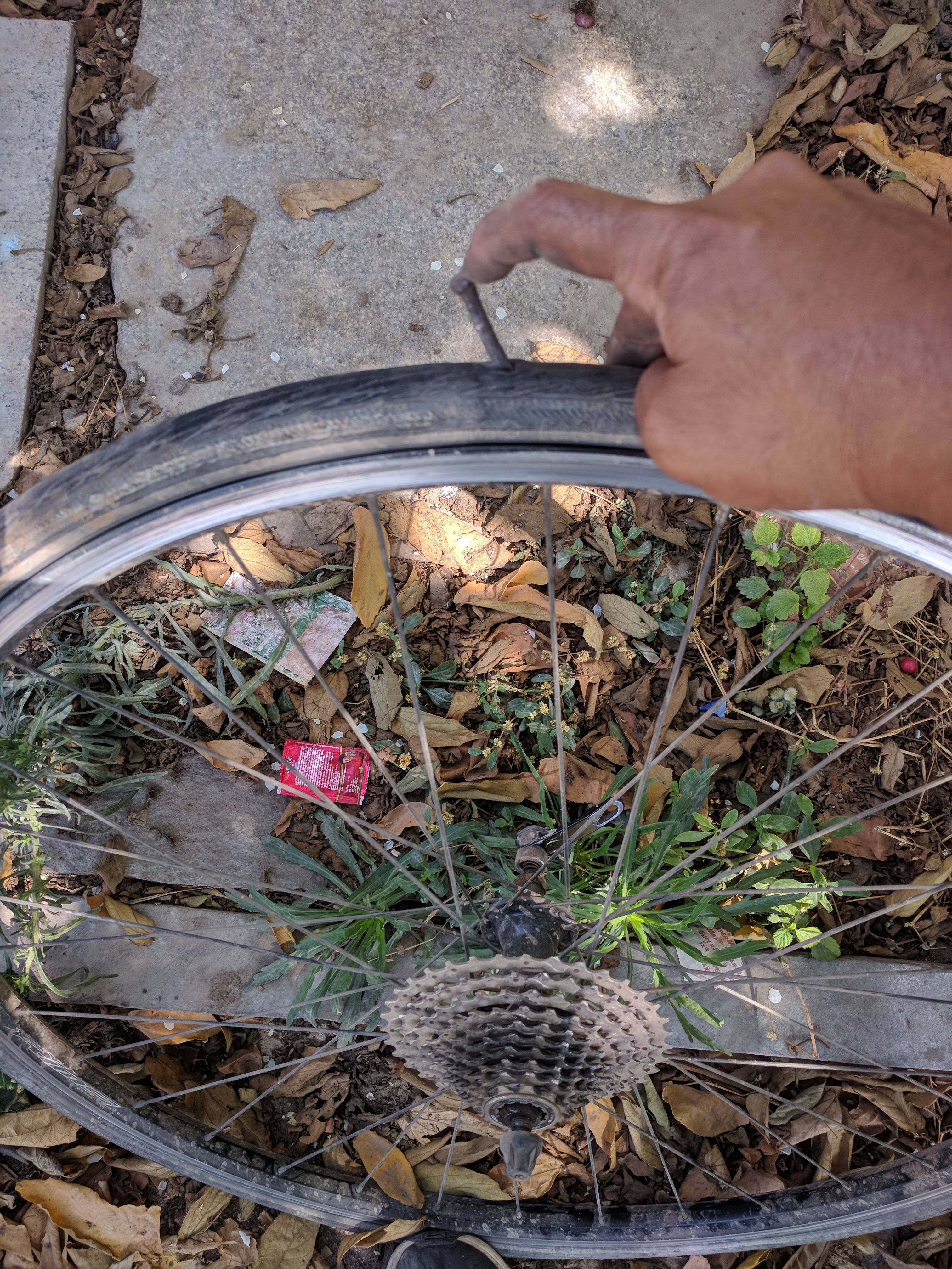 This was the second puncture on my Delta Cruisers. The nail had damaged the inner tube so much that I had to throw it away. Also notice that the rims have no braking surface whatsoever.