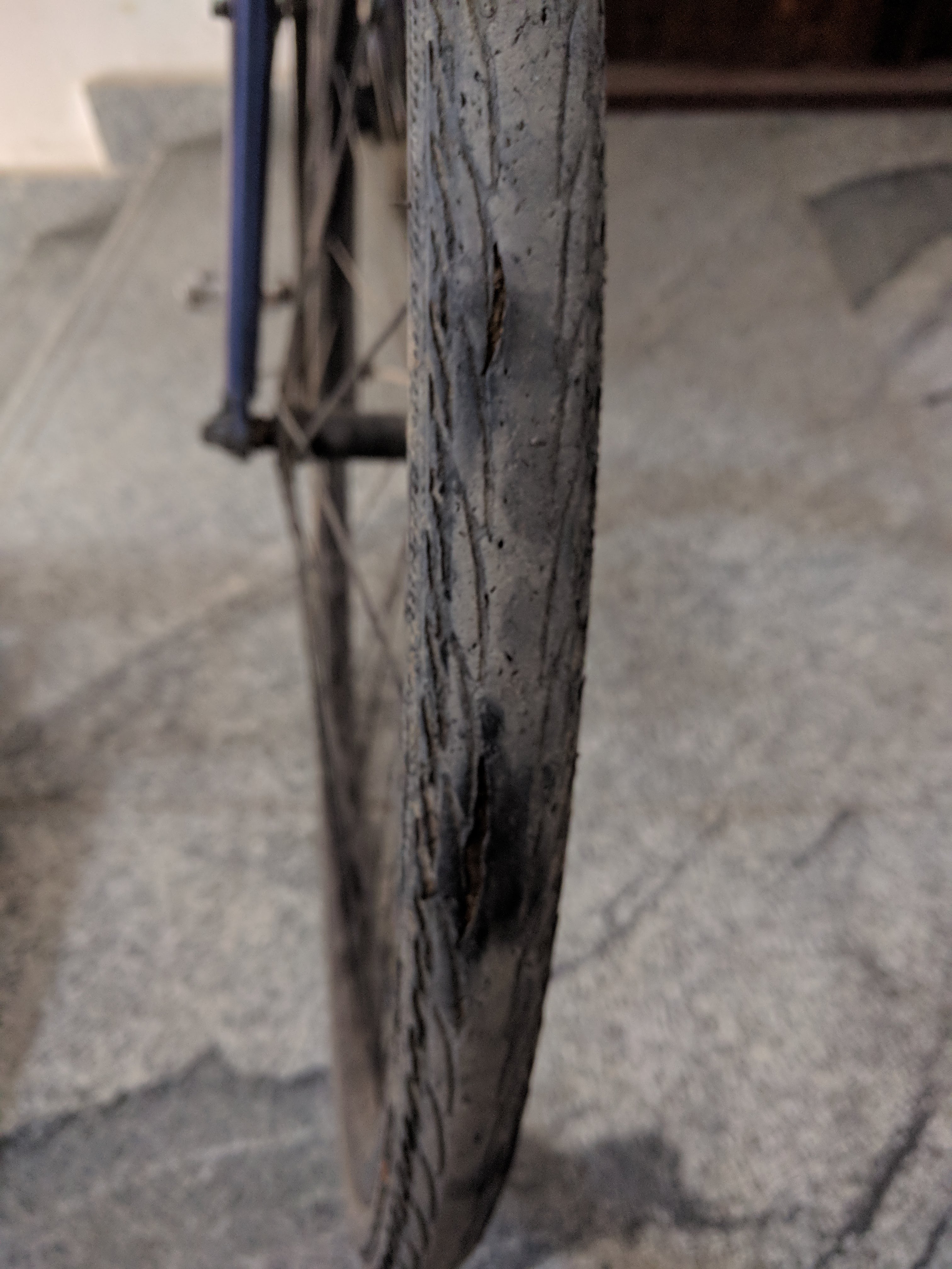 The gashes are clearly visible