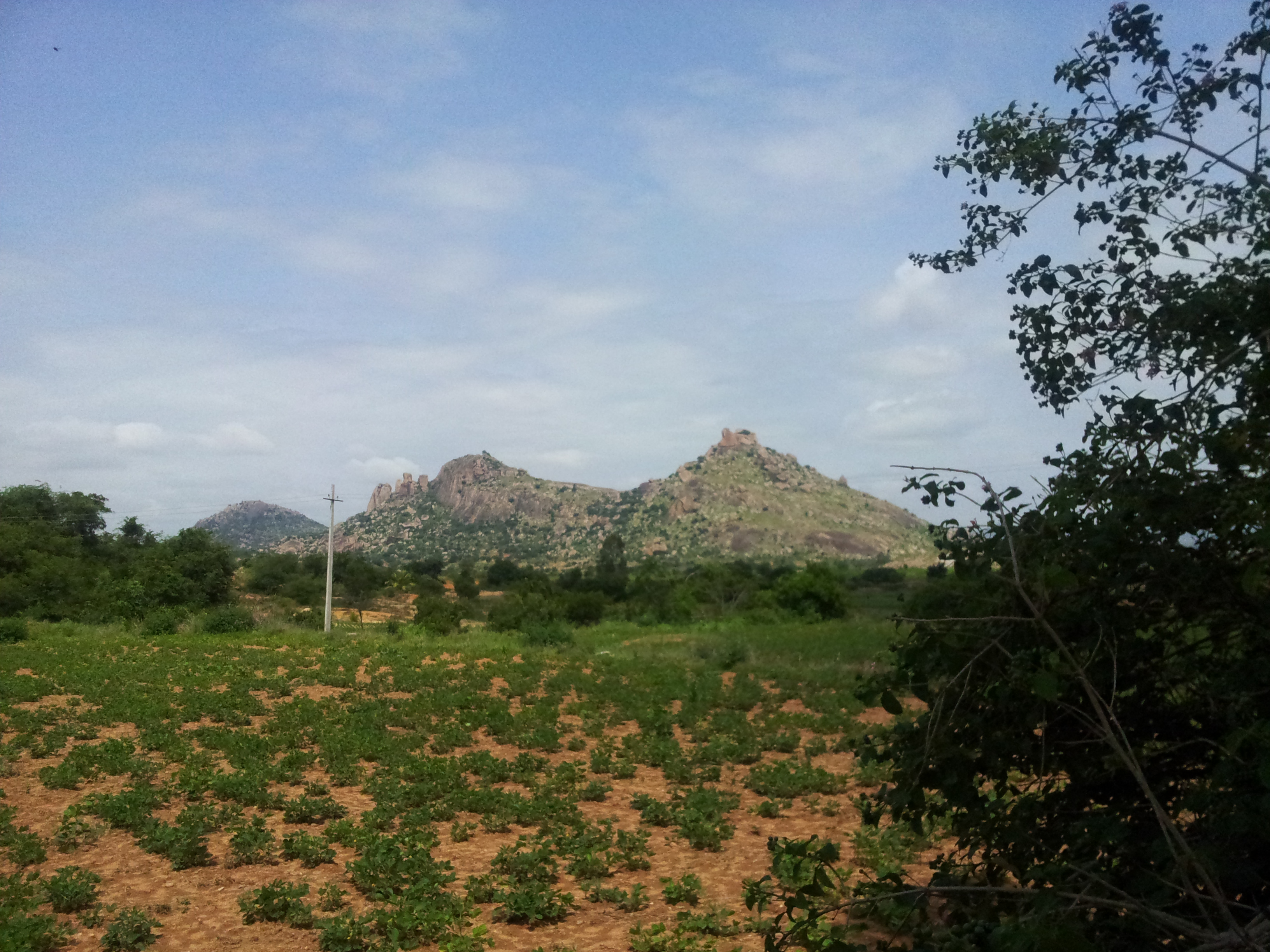 Our destination was the furthest hill.