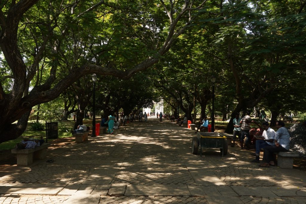 The lush greenery of Bharti Park.