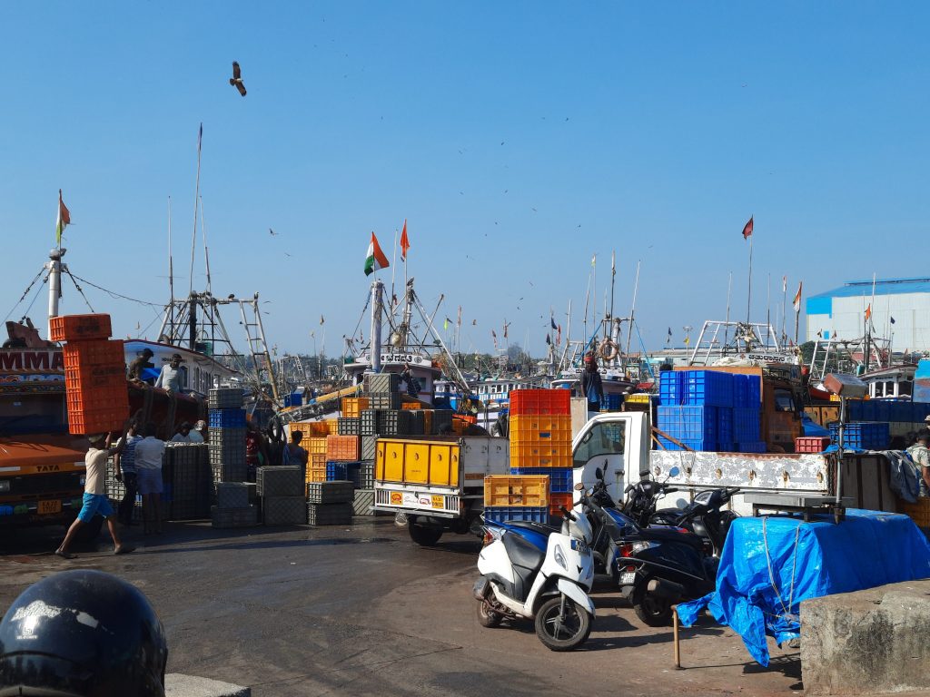 Fishermen unload their catch and transport them off to the markets from this fishing harbour.