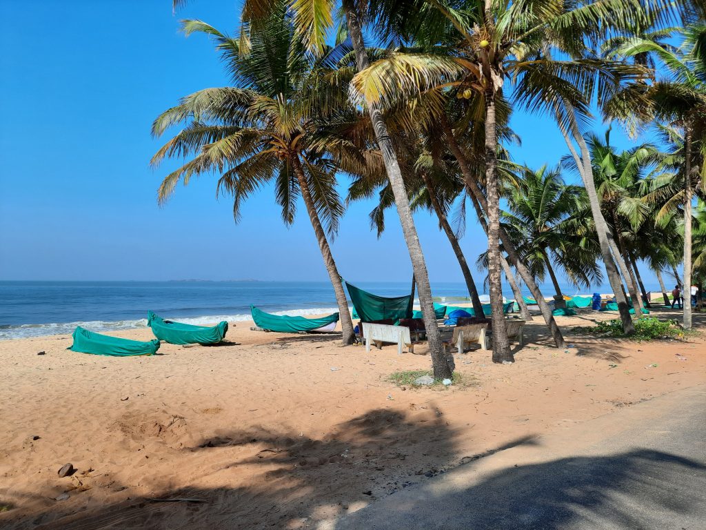 Boats parked and weather-proofed.