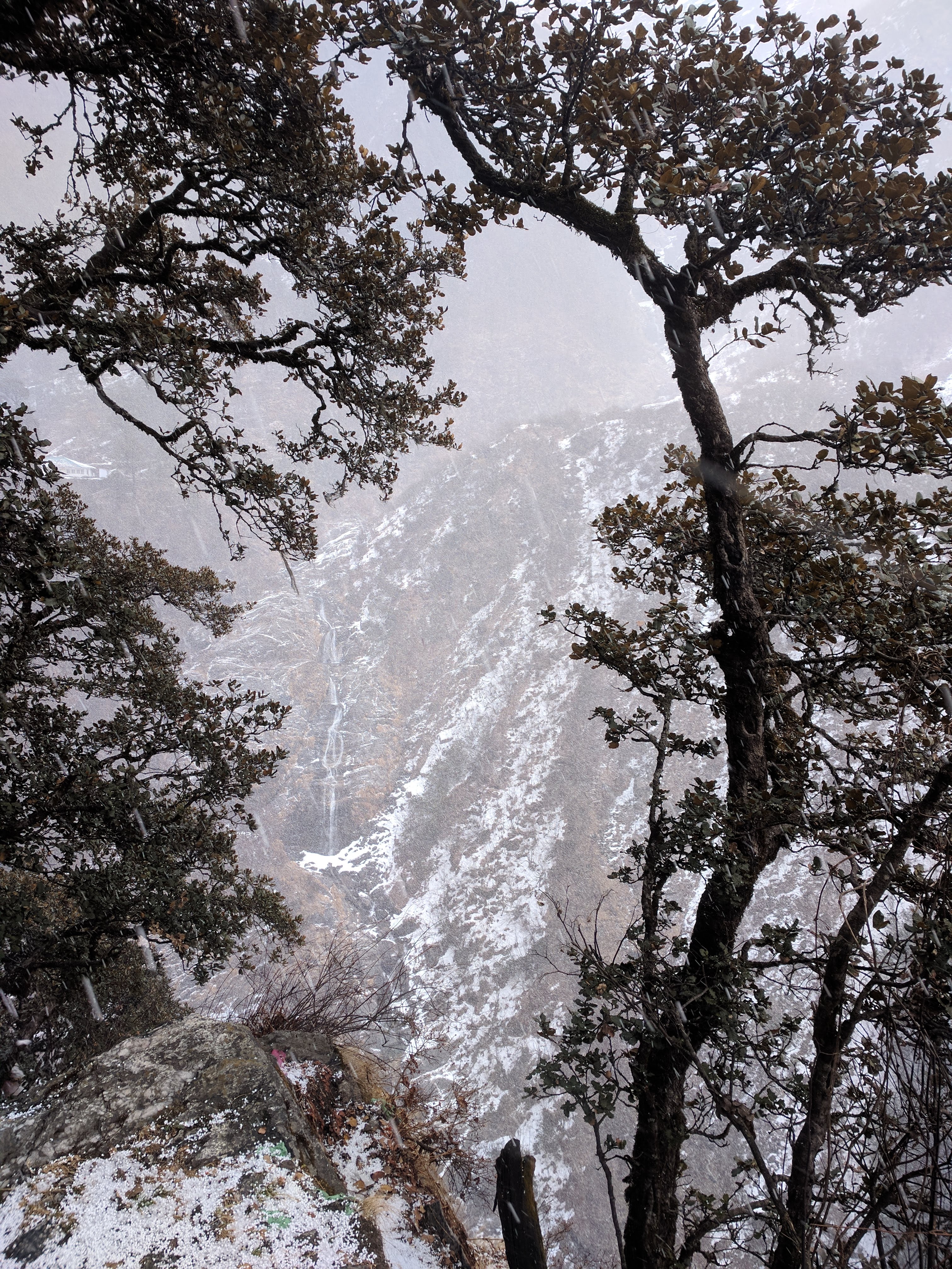 Snowing heavily!